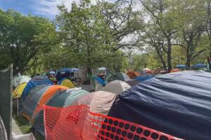 Protestas de estudiantes pro-Palestina en universidades de Chicago: Aquí te explicamos qué está pasando 