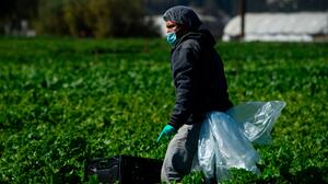 Trabajadores agrícolas de Kern ven dificultades para acceder a vacuna del coronavirus