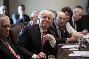 US-POLITICS-TRUMP-CABINET