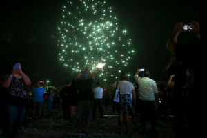 fiesta de la flor 