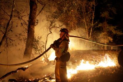 <b>TUBBS - </b>El siniestro se originó en un sistema de electricidad privado, en la localidad rural de Calistoga, en el condado de Napa, en octubre de 2017. El incendio consumió 36,807 acres y 5,643 estructuras en los condados de Napa y Sonoma, la denominada región vinera del estado dorado. En esta tragedia, 
<b>murieron 22 personas</b>.