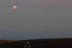 Eclipse Lunar