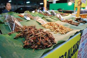 paises-que-comen-insectos-2.jpg