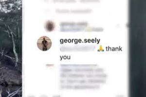 seely defensa2.jpg