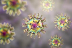 virus-da-herpes