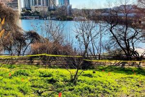 Lady Bird Lake Austin mujer cadáver