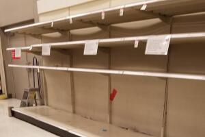 Magdalena Rangel.jpg