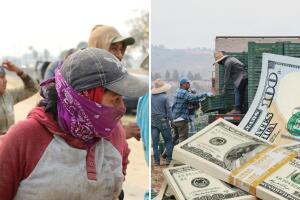 Esto es todo lo que debes saber del pago único de $600 para trabajadores en California.