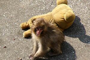 Antes de Punch, Otome rompió corazones con su historia