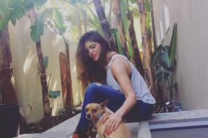 Famosos con sus perros 