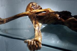 Ötzi_g10.jpg