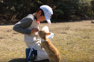 Imagen de un niño con un conejo en la isla conejo