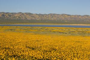Exploring Carrizo Plain National Monument