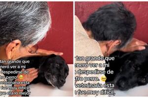 Mujer despide a su perrito antes de morir y hace llorar a TikTok.