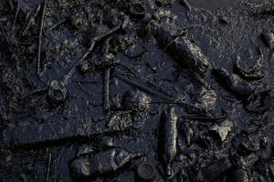 Venezuela Fishing In Oil