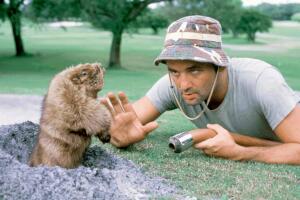 caddyshack-bill-murray.jpg