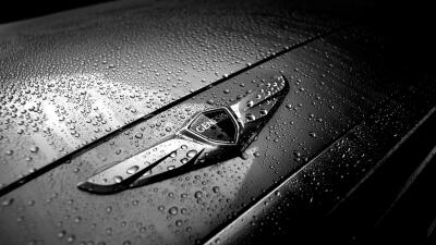 Resultado de imagen de genesis hyundai logo