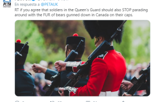 11petaUK2.PNG
