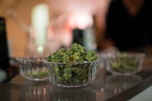 Marihuana en California