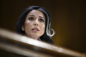 Tulsi Gabbard