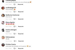 reaccion-usuarios-tiktok-video-elefante