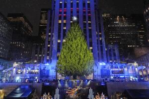 Rockefeller Center revela su árbol de Navidad 2025; tiene 75 años y mide 75 pies.