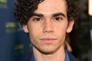 2018 LA Family Housing Awards - Red Carpet