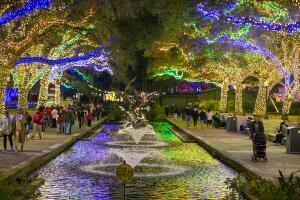ZooLights18.jpg