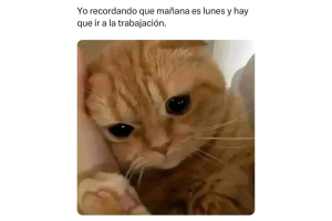 memes-lunes (8).png