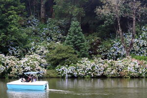 gramado-decarona.jpg