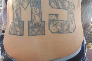 MS13-6.jpg