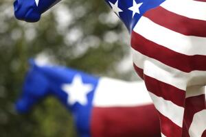 Texas Election Day