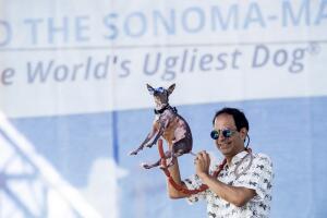 Ugly Dog Contest