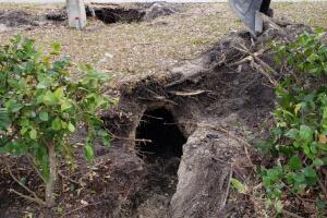 TUNEL PEMBROKE PINES