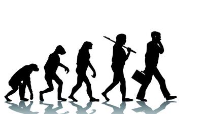 TEORIA EVOLUCION