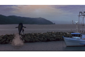 Película 'Free Willy'