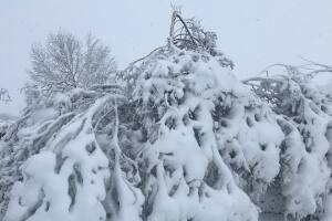 nieve4.jpg