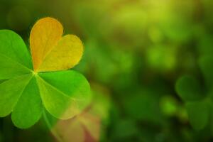Trébol de 4 hojas