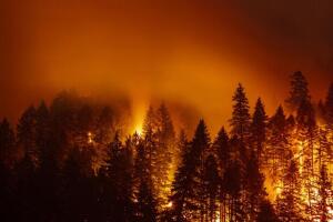 Incendio forestal.jpeg
