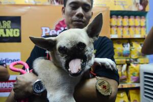 Kabang