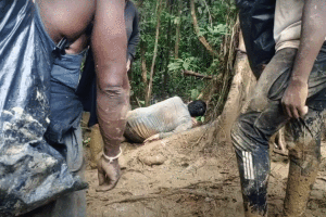 Migrantes se desmayan por el cansancio cruzando el Darién