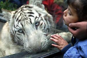 Zoológico Buenos Aires