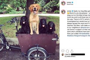 PERROS JAMES123456.jpg