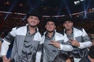 backstage pln 