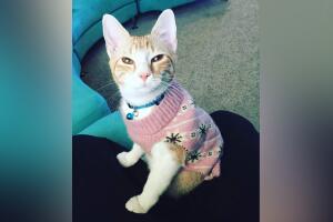 Flerida De La Paz.jpg