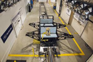 Como asegurar mascotas dentro de un carro