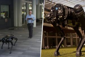Perro robot