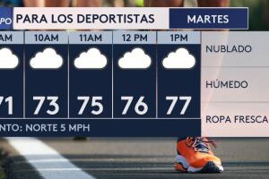 WX-gráficas.jpeg