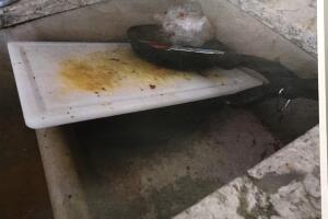 Mexicanos esclavos en el norte de California