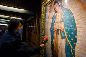 virgen de Guadalupe